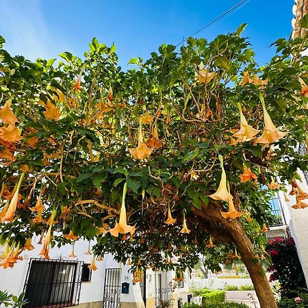 Right By The Pool Area In Capistrano Village! Нерха Екстериор снимка